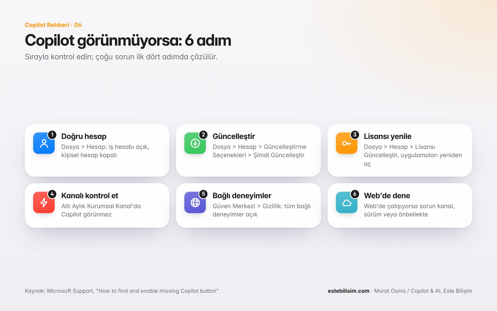 Copilot görünmüyorsa 6 adımlı kontrol listesi